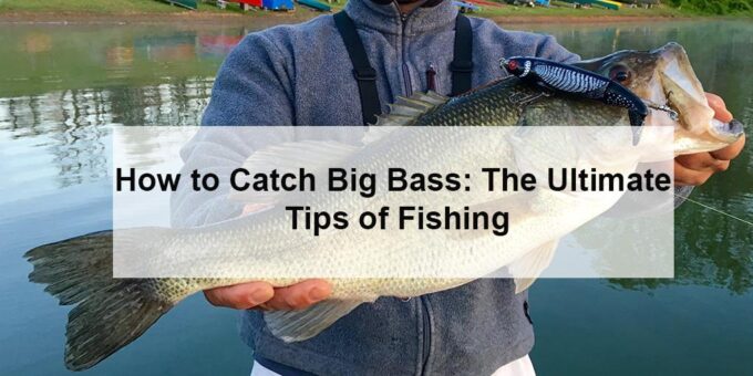 How to Catch Big Bass