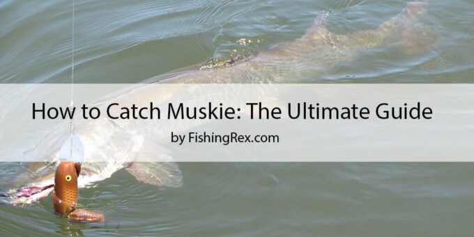 How to Catch Muskie