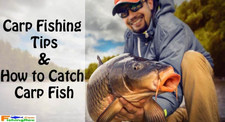 Carp Fishing Tips | How to Catch Carp Fish – Fishing Rex