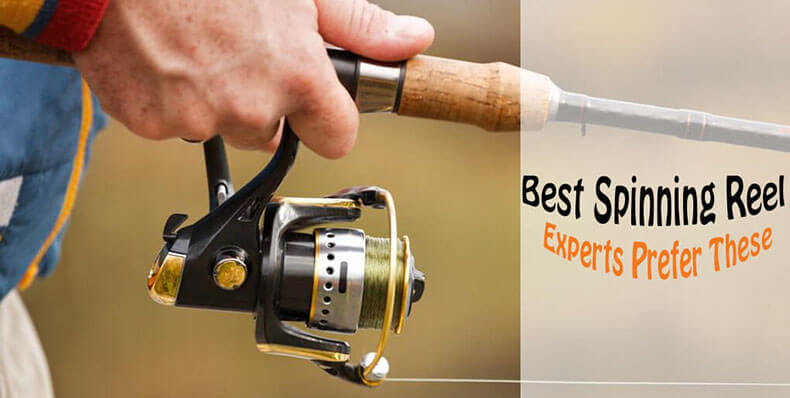 Best Spinning Reels