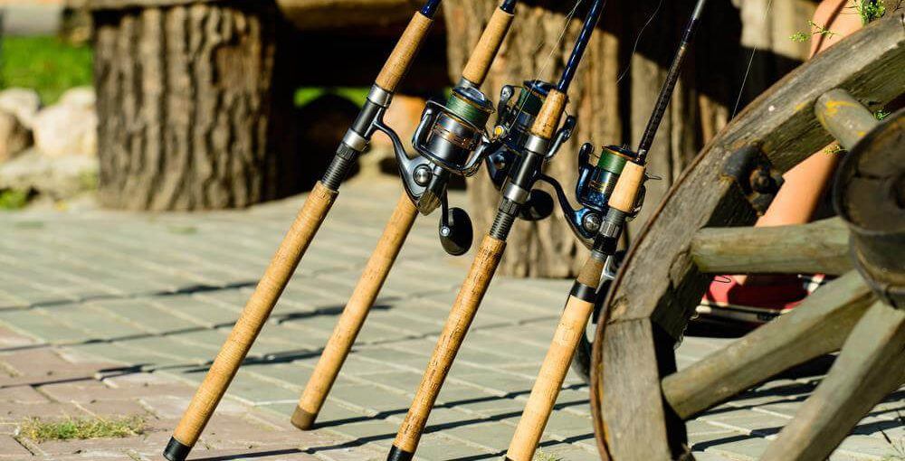 best freshwater fishing rods