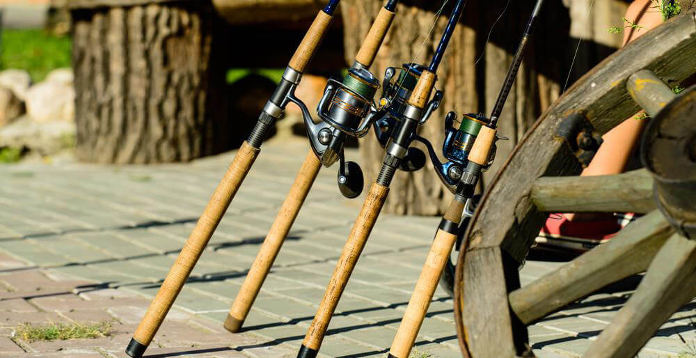 Best Bass Fishing Rods