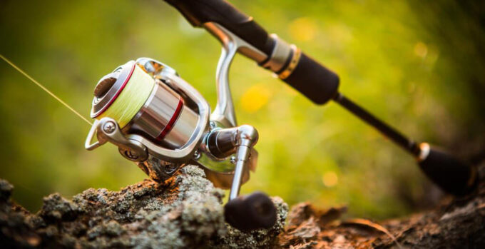 Best Baitcasting Reel Under 50