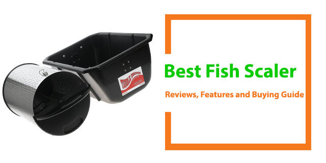 Best Fish Scaler