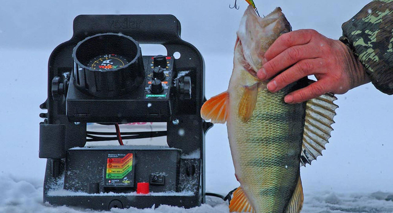 Best Ice Fishing Flasher 2018 Top 7 Options Reviewed