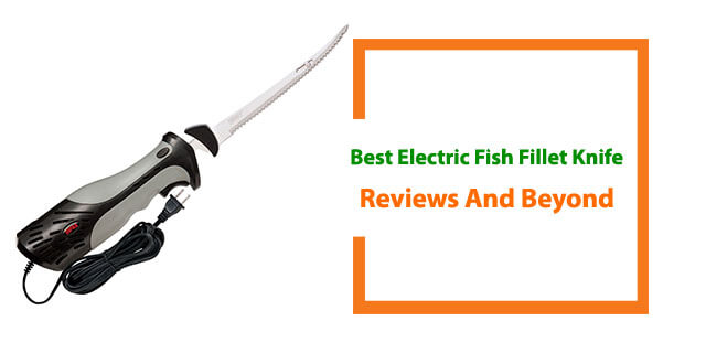 Best Electric Fish Fillet Knife
