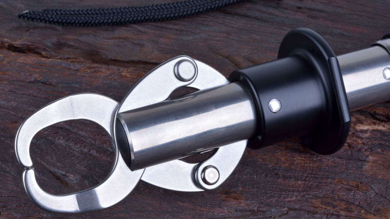 best fish gripper