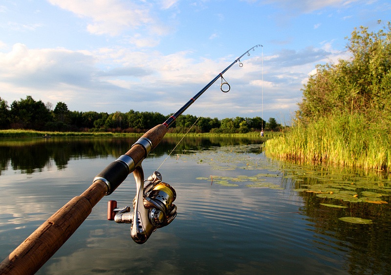 jig fishing