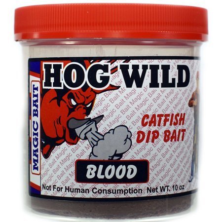 Best Catfish Bait Used by Experts