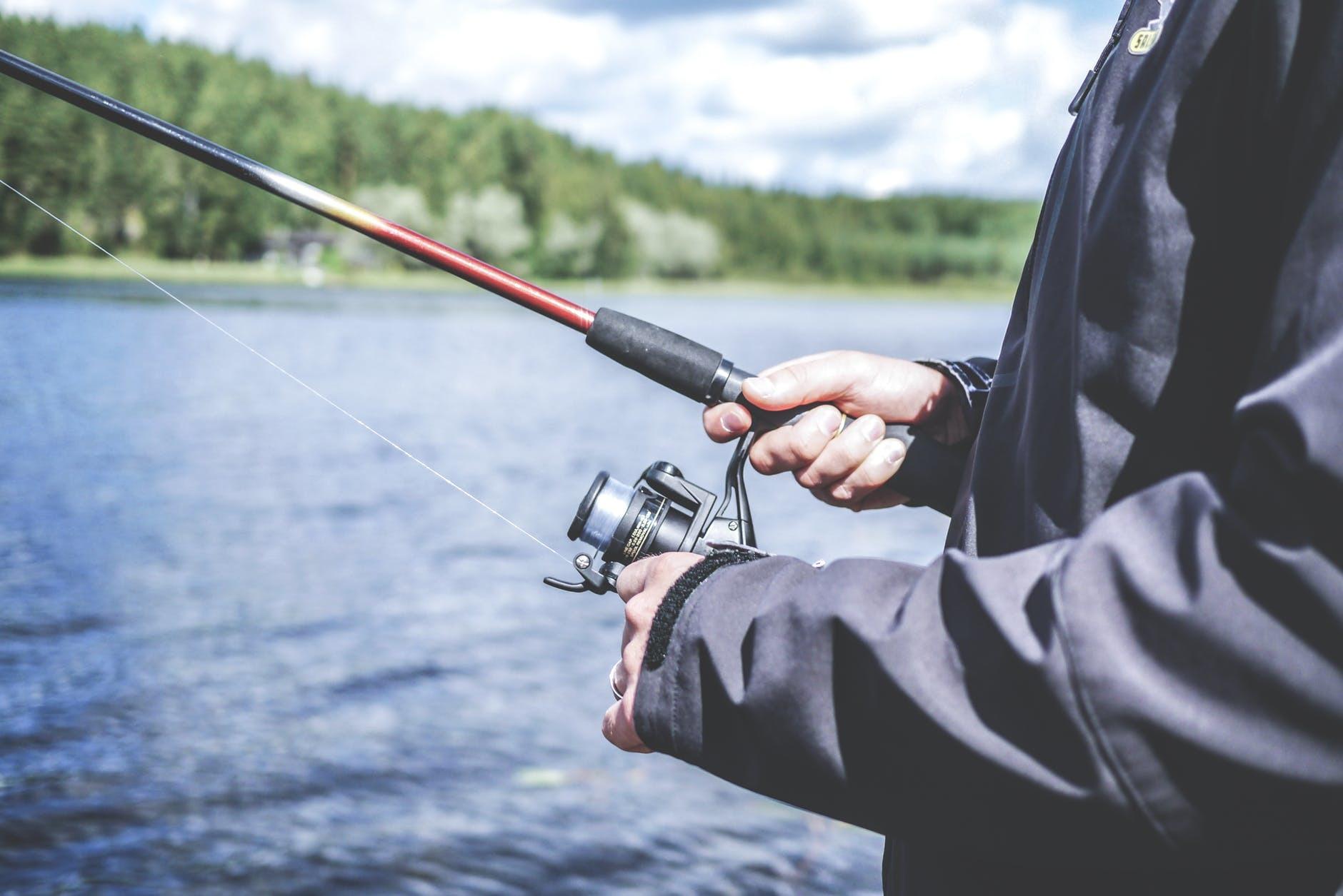 person holding fishing rod