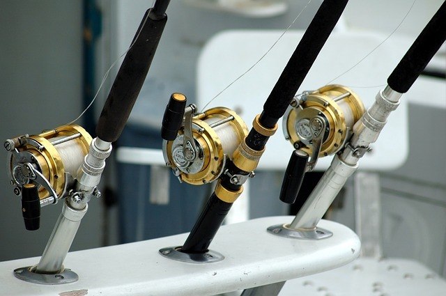 fishing gears - rods and reels