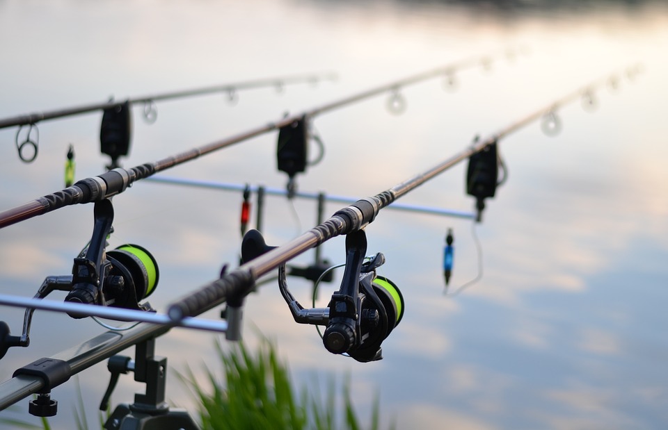 Best Shimano Reels