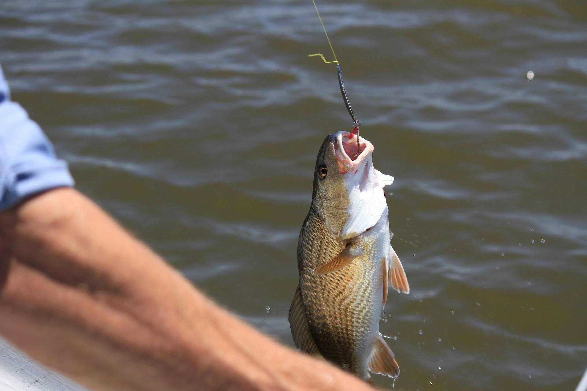 How To Pick The Right Fishing Hook | Fishing Rex
