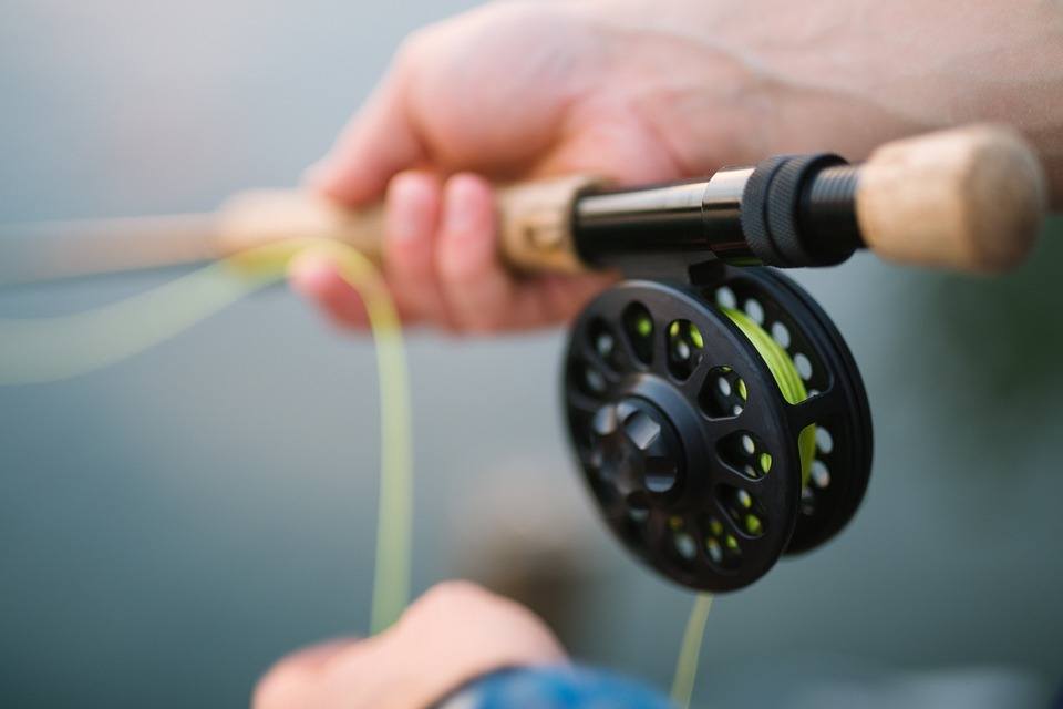 Best Shimano Reel