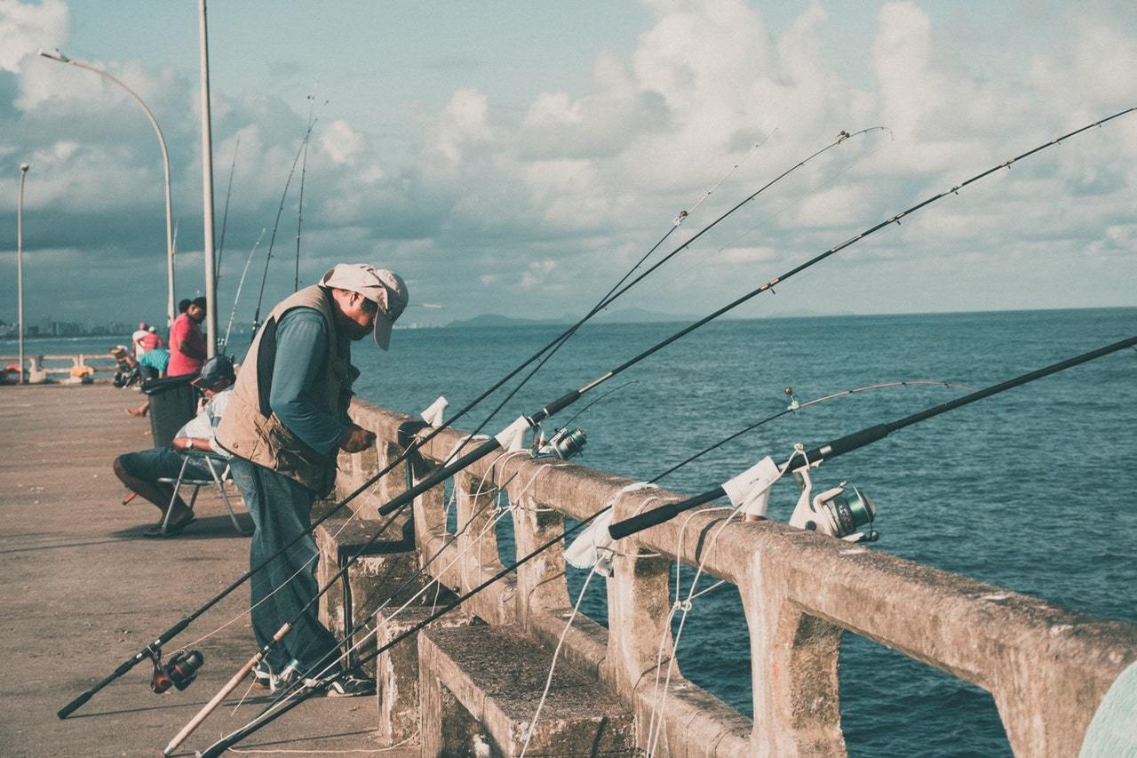 Fishing rods on fence